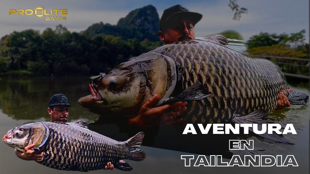 Aventura en Tailandia (Pro Elite Baits)