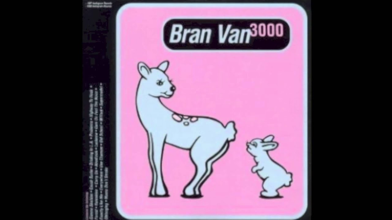 Bran Van 3000 - Rainshine