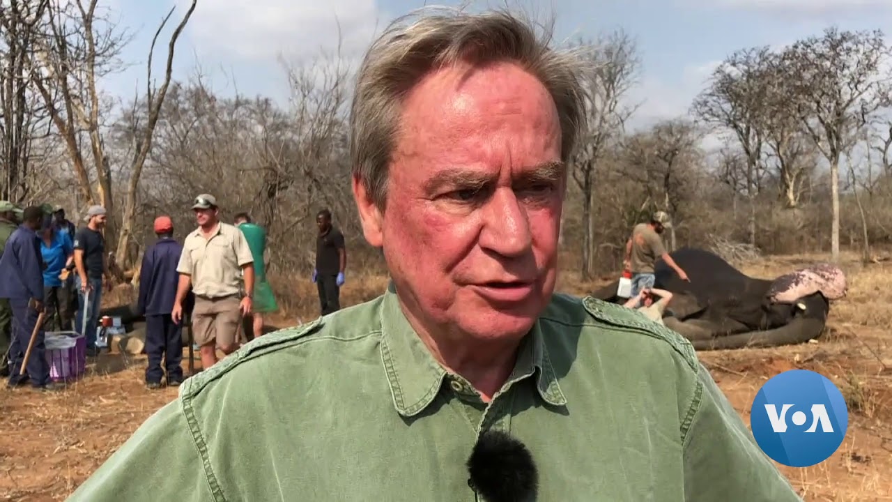Zimbabwe Relocates Elephants to Ease Congestion