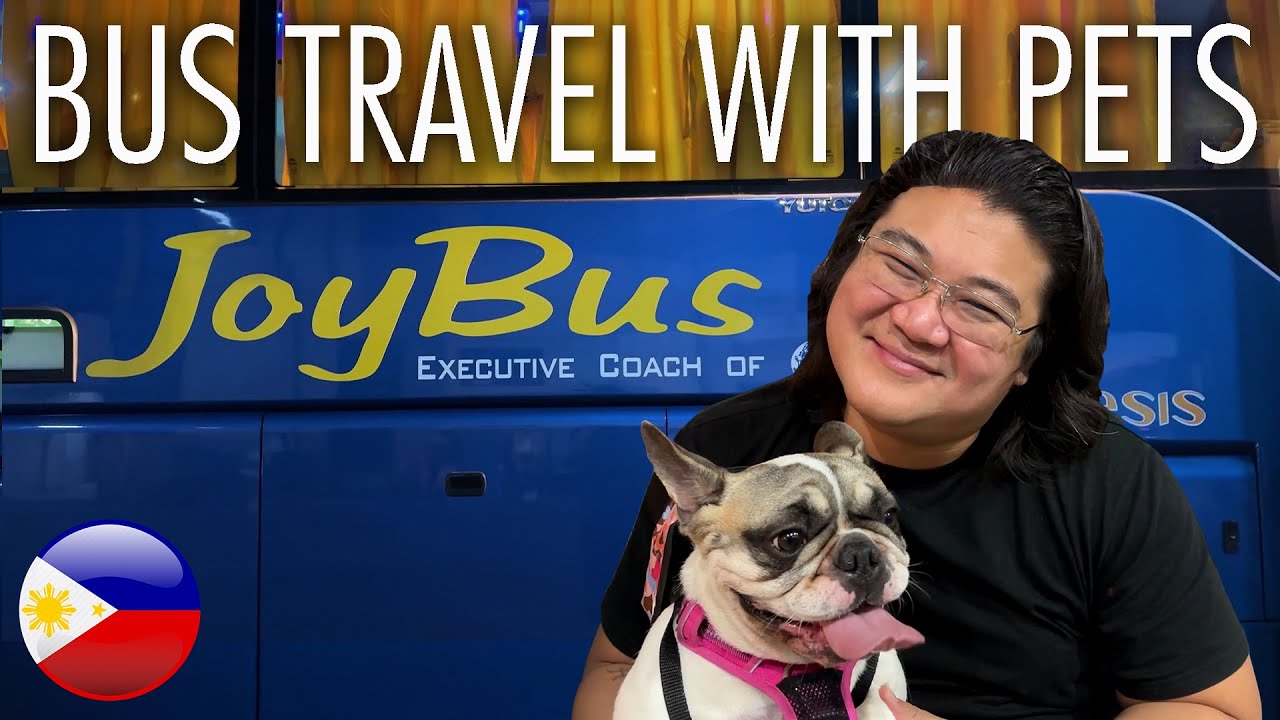 This is HOW WE TRAVEL WITH PETS and WHAT TO PACK