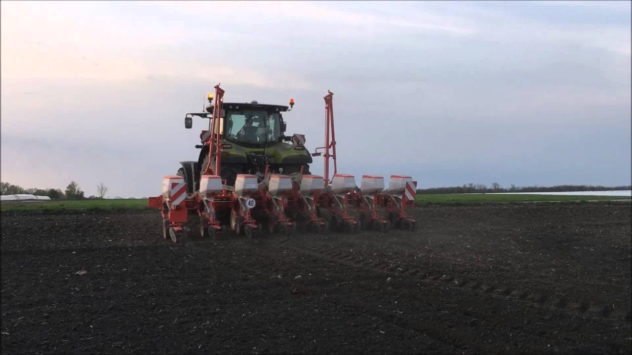 Mais legen April 2016, Claas Arion 650 & Gaspardo Magica