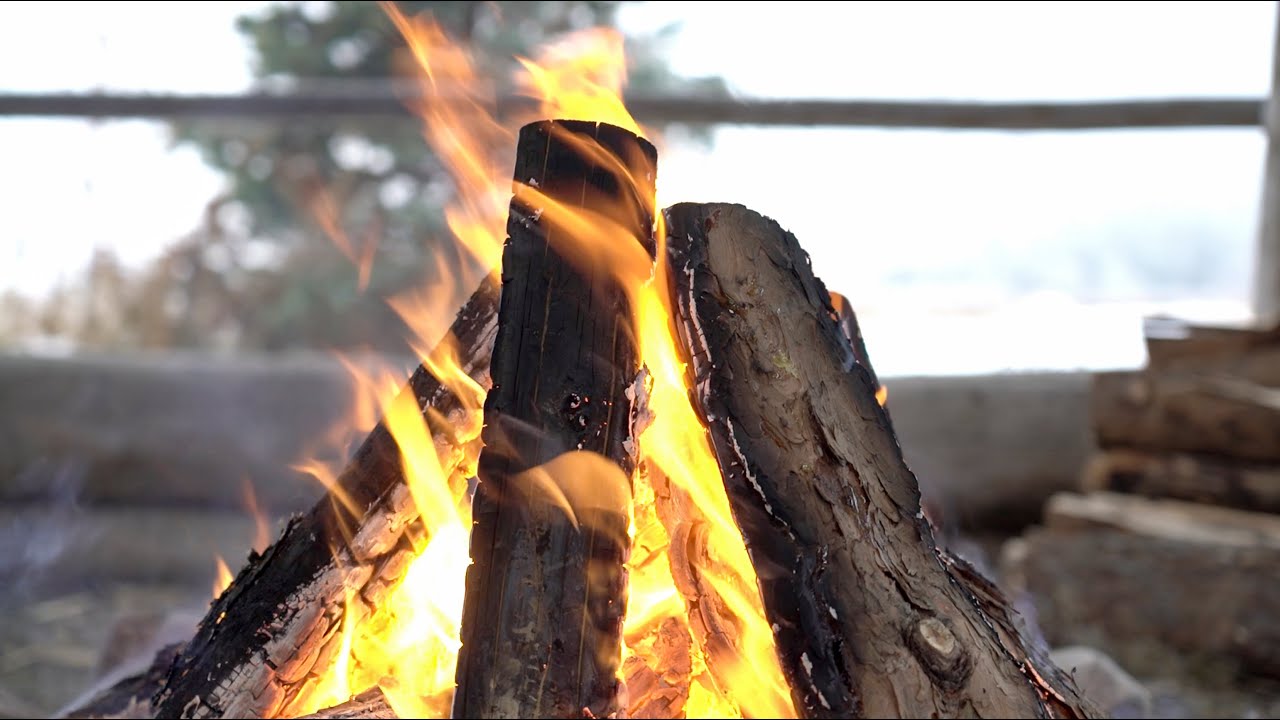 The Birth of A New Life - A Dream and Teachings Shared by Elder Nii Gaani Aki Inini