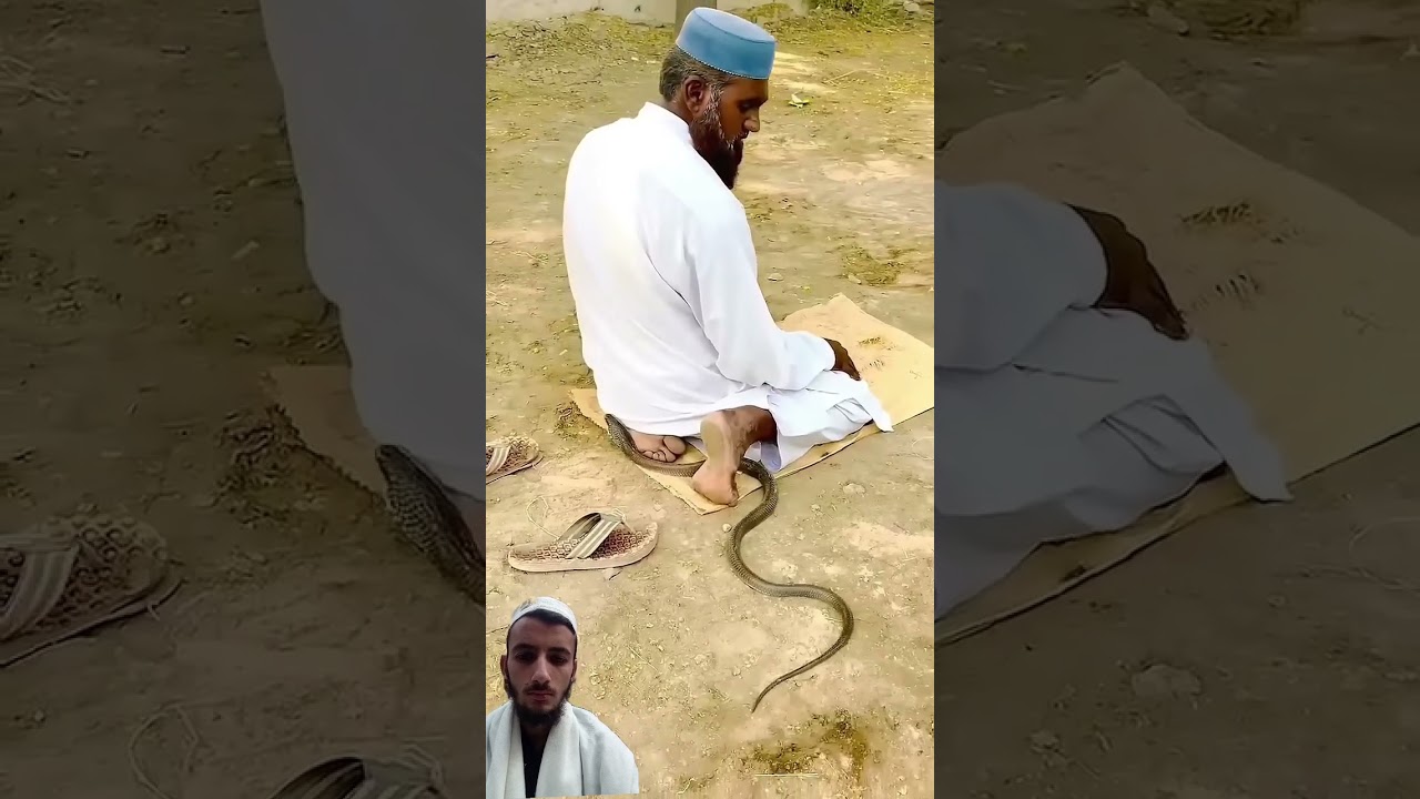Power of Nimaz#ytshort#islamicvideo #tilawat