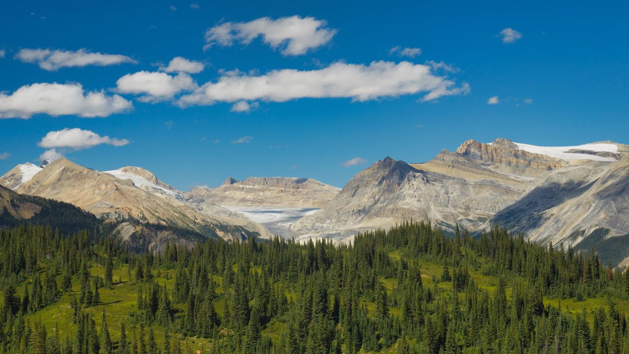 Hiking the Iceline Trail | Yoho National Park, Canada
