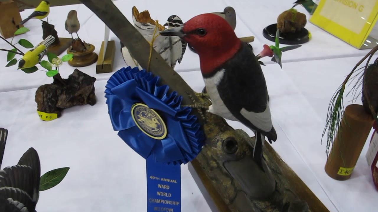 Intermediate Carvings at the 2019 Ward World Championship