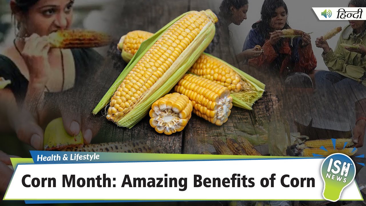 Corn Month: Amazing Benefits of Corn | ISH News