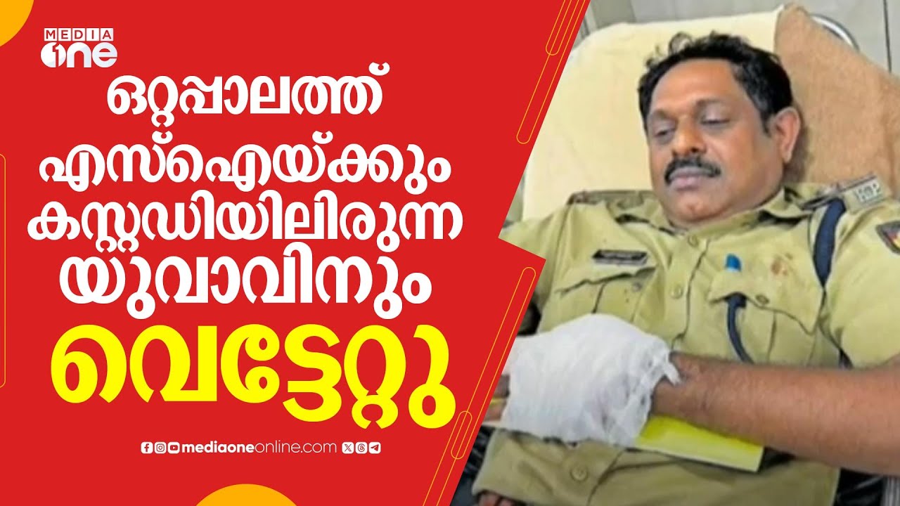 ഒറ്റപ്പാലത്ത് എസ്‌ഐയ്ക്കും കസ്റ്റഡിയിലിരുന്ന യുവാവിനും വെട്ടേറ്റു | SI attacked in Ottappalam