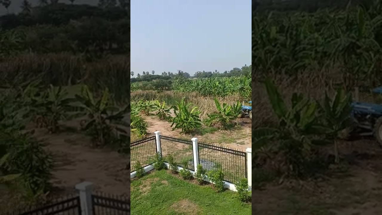 Erd Aufsch&uuml;ttung  2 Teich..