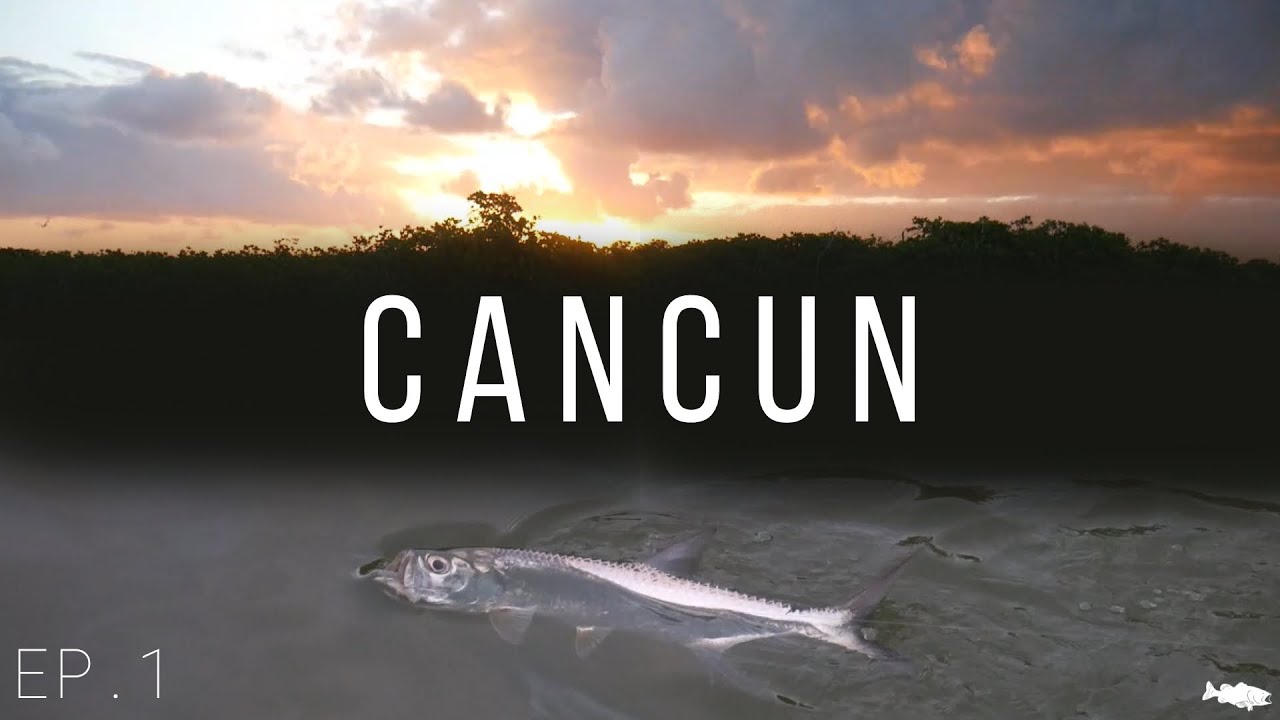 Catching My Dream Fish - Cancun The Mini Series Ep.1