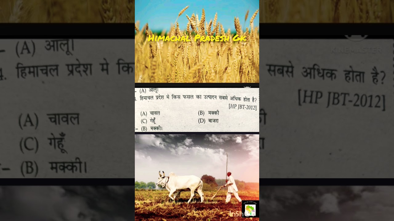 Himachal Gk MCQ #hpgk #ytshorts #viralvideo #viral #shortsvideo #crops #shorts