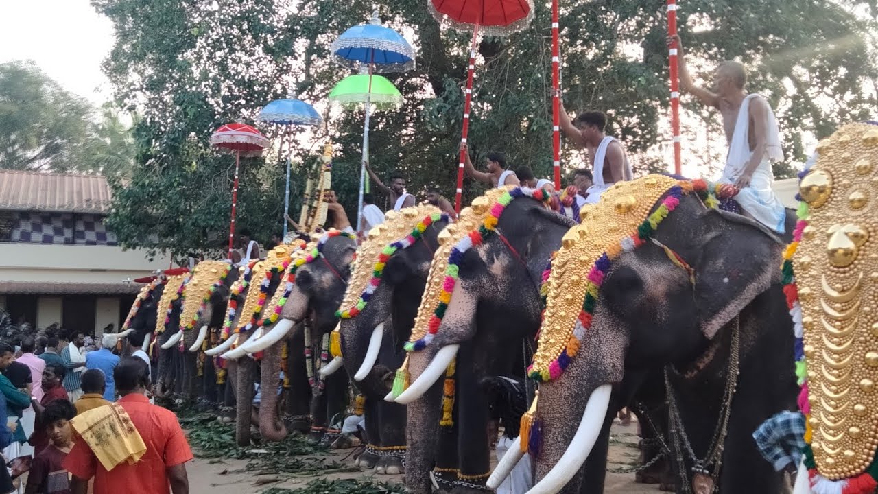Nelluvai Sree Dhanwanthari Temple Ekadasi  (30/12/2025)