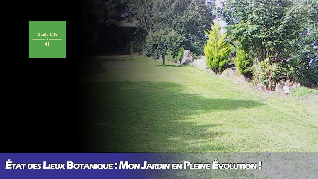 &Eacute;tat des Lieux Botanique : Mon Jardin en Pleine &Eacute;volution !