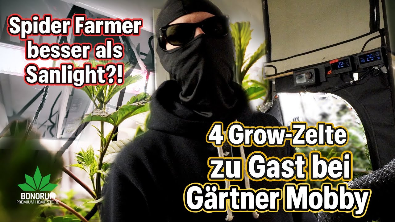 Spider Farmer besser als Sanlight?! 😱 | 4 Zelte & Home Grow Tour Teil 2 &ndash; zu Gast bei G&auml;rtner Mobby!
