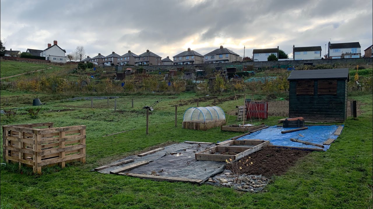 Allotment update - UK