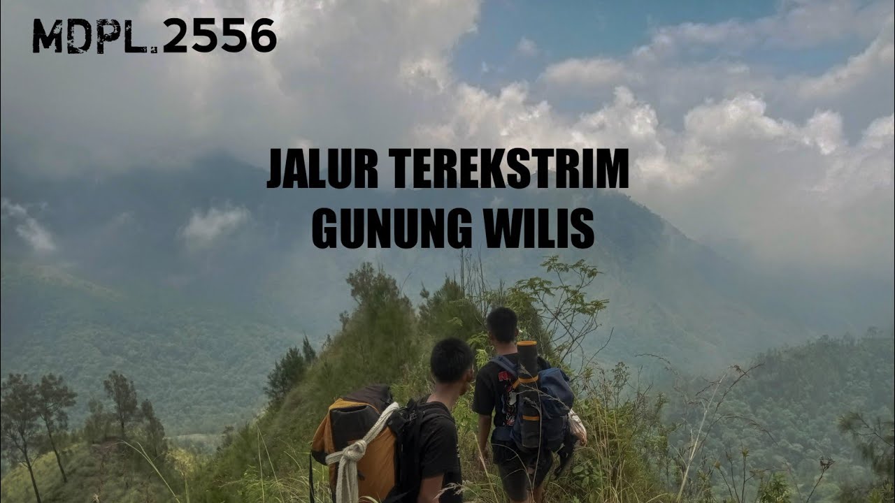 REVIEW LENGKAP JALUR PENDAKIAN GUNUNG WILIS VIA BESUKI - KEDIRI - JAWA TIMUR