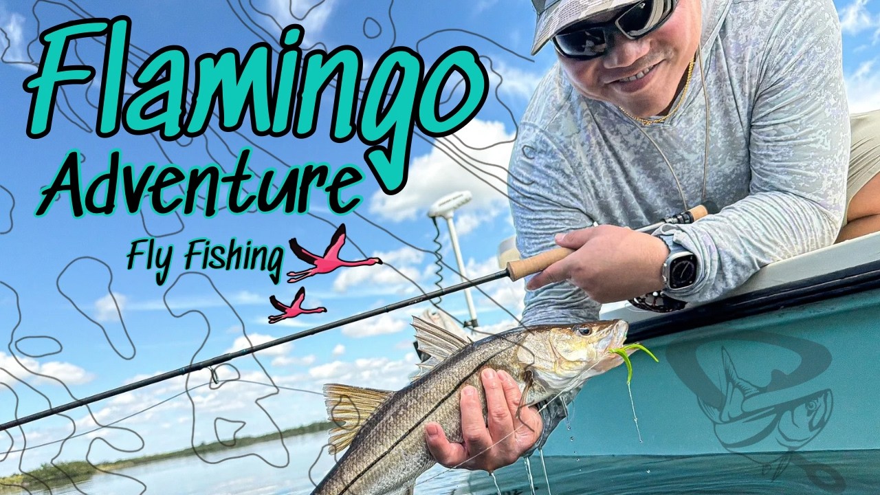 Flamingo Adventure On Fly! Everglades National Park