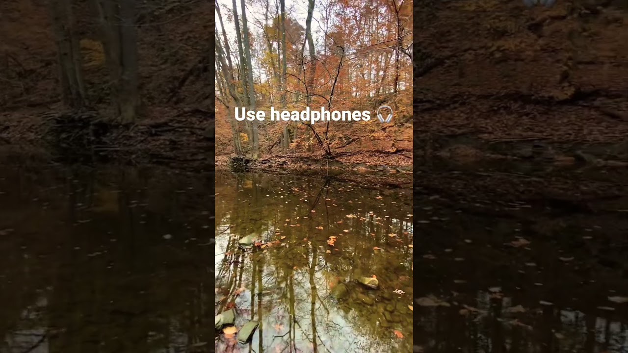 I never knew my AirPods had so much bass 🎧
