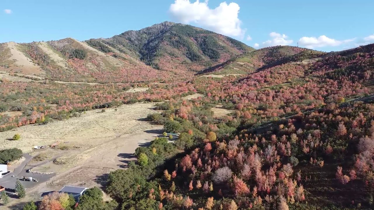Tooele Fall Colors in the Afternoon 2025 DJI Mini 2 Video