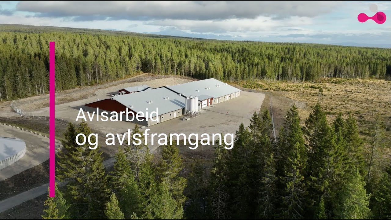 2.5 Avlsarbeid og avlsframgang