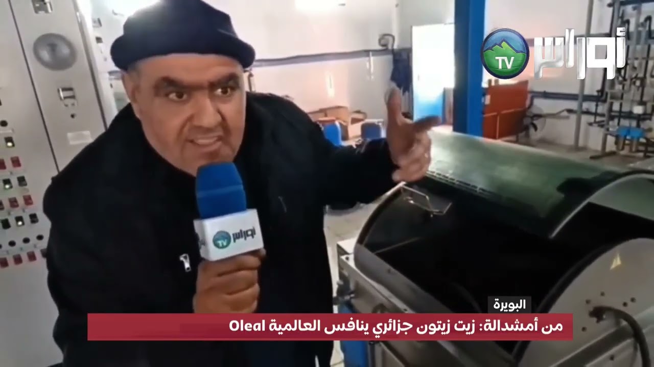 Oleal من أمشدالة: زيت زيتون جزائري ينافس العالمية