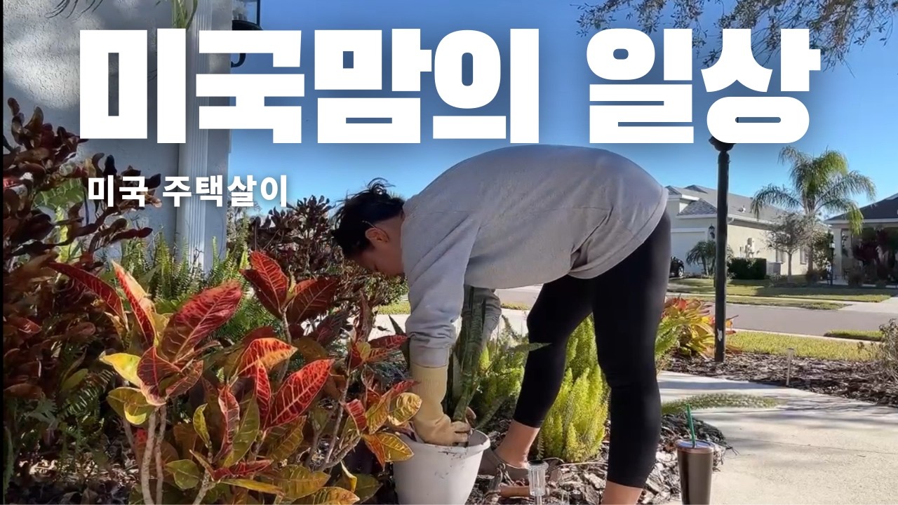 [생존 이민 VLOG 52] 미국 집 정원 관리ㅣ한 때는 해운대 도시 아줌마, 이제는 플로리다 시골 아줌마ㅣ이민 일상