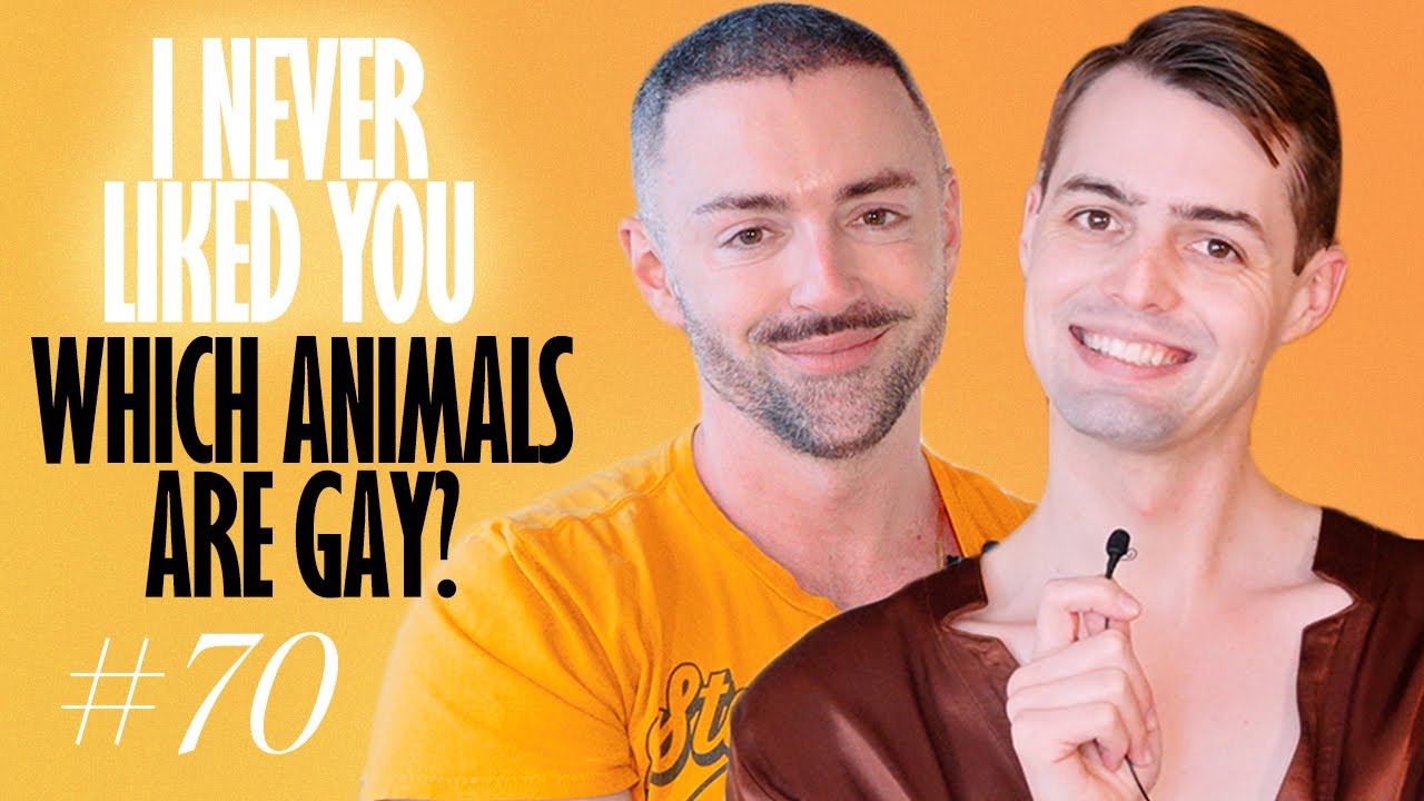 Which Animals Are Gay? - Matteo Lane & Nick Smith - I Never Liked You 70