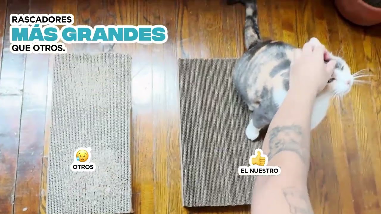 Rascadores WoliMart Pet Essentials