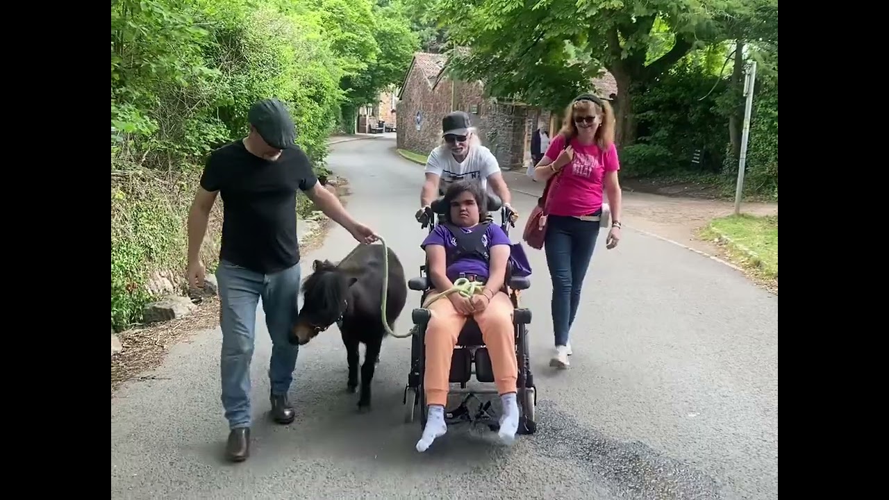 🐴 Patrick the therapy pony in Action 🐴