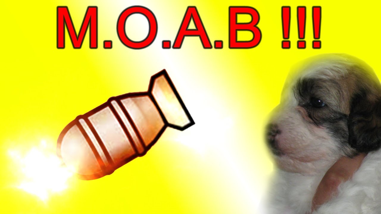 MOAB en Arkaden !!! - No te pongas nervioso // modern warfare 3