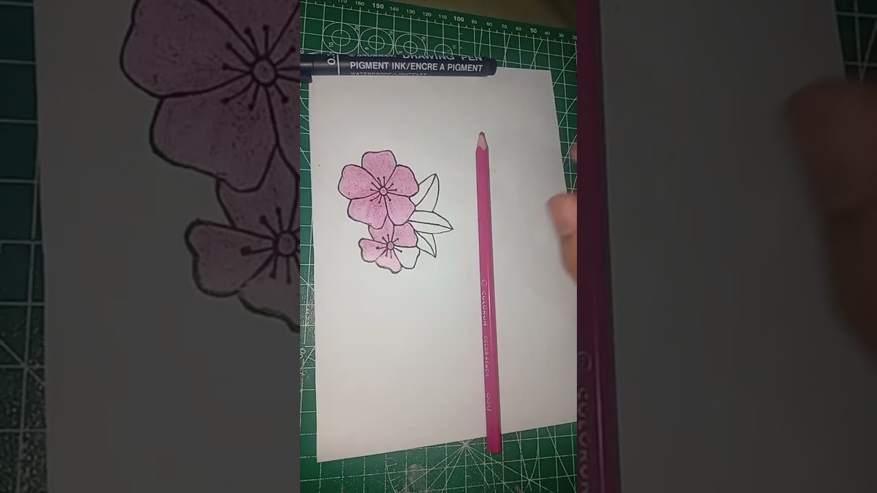 Cara Gambar Bunga Sakura indah
