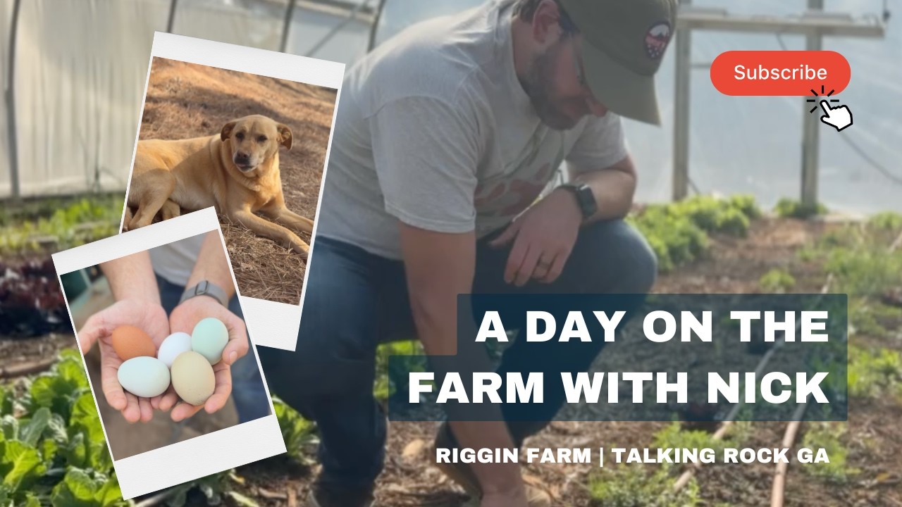 What's It Like to Run a Farm? | Riggin Farm | Talking Rock, GA