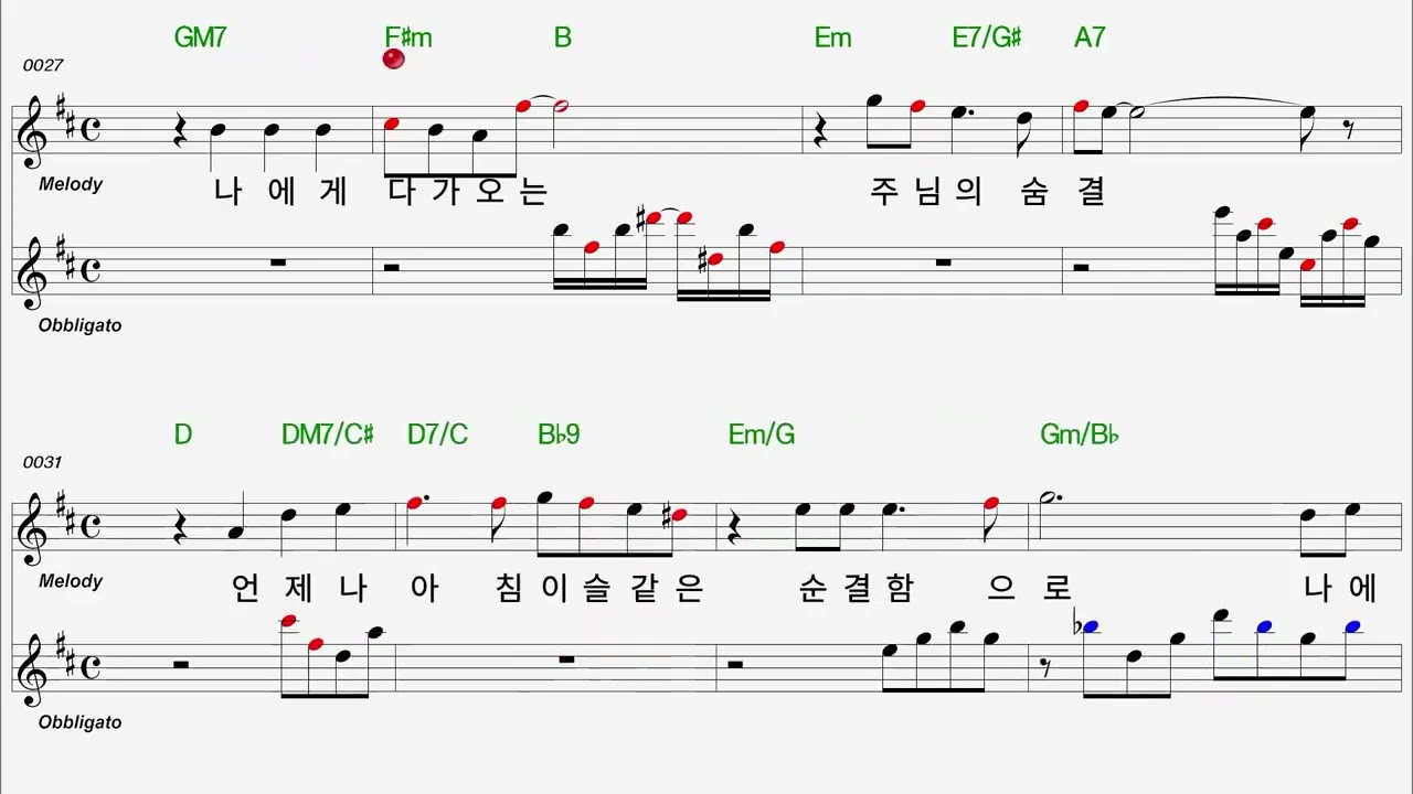 주님의 따스한 손길  Flute