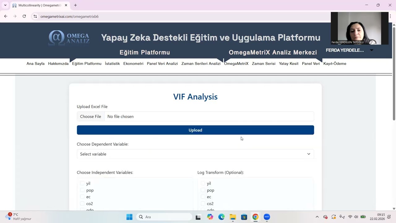 Çoklu Doğrusal Bağlantı | VIF Kriteri | OmegametrixAI
