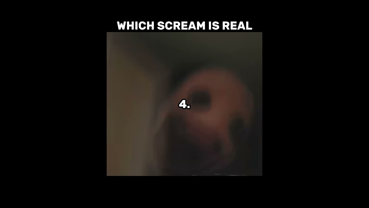 vita carnis meme | which scream is real with elder mimic #vitacarnis