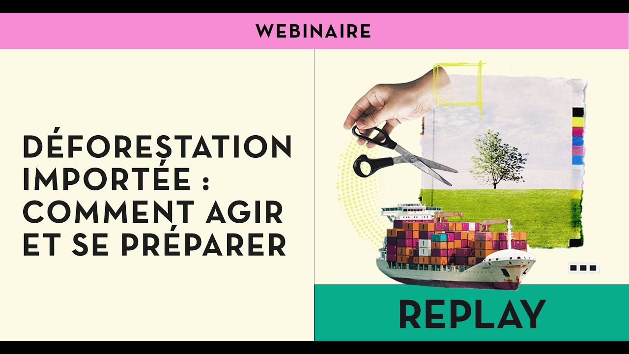 #WEBINAIRE • Déforestation importée : comment agir et se préparer ?