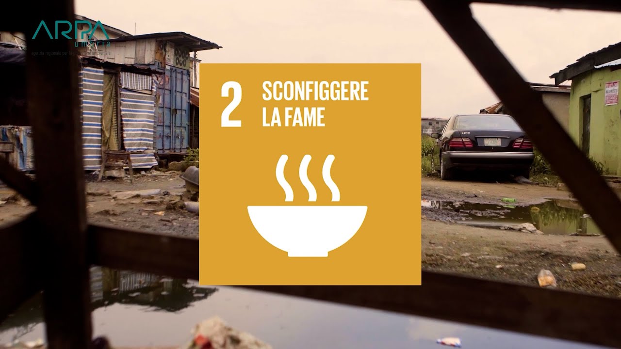 Fame Zero: una sfida globale ancora aperta