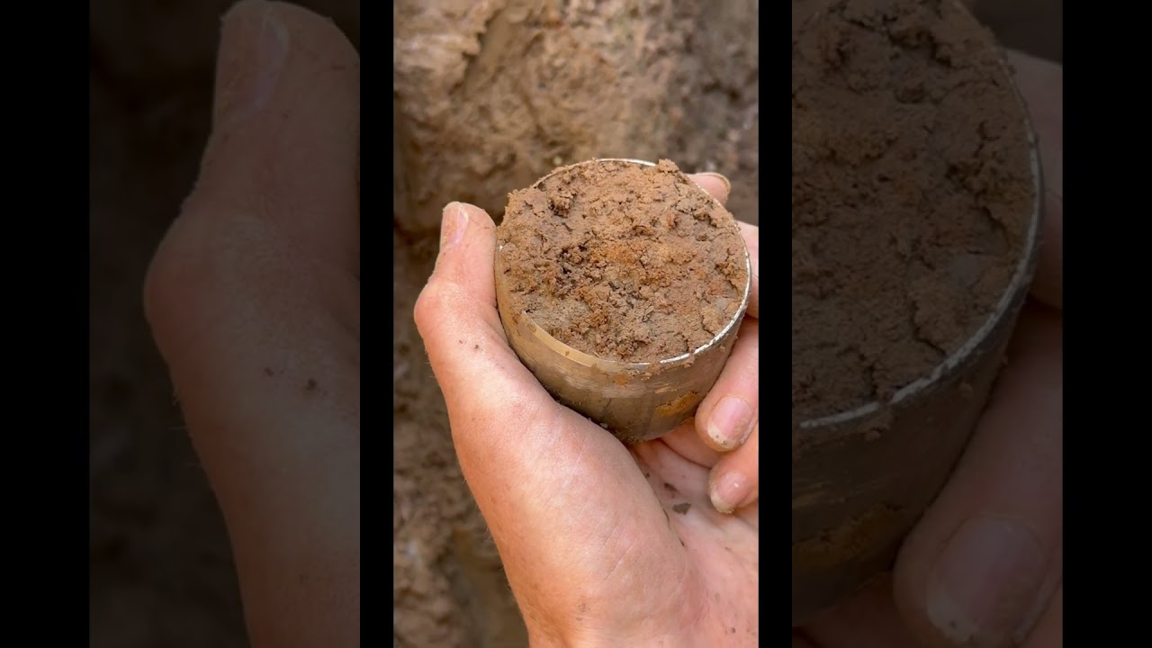 Soil Bulk Density and Carbon Stock with Dr. Shannon Cappellazzi