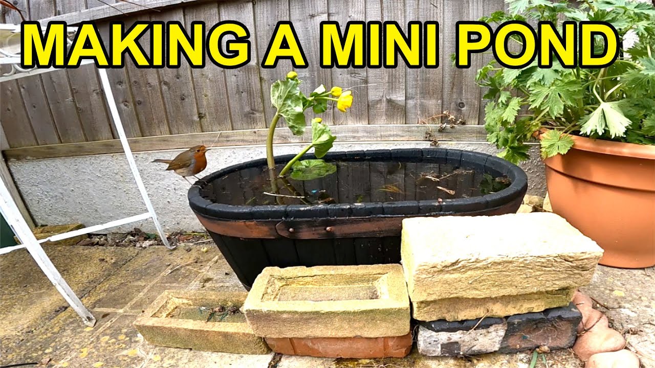 How To Make a Mini Pond