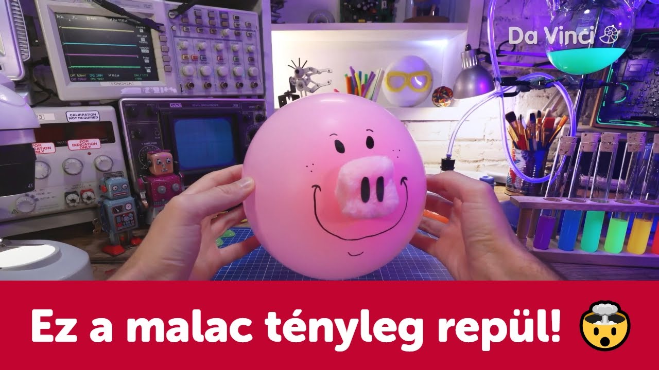 Ismerd meg a repülő malacot! 🐽🤯| Kreatív Csodák Műhelye | Da Vinci TV Magyarország