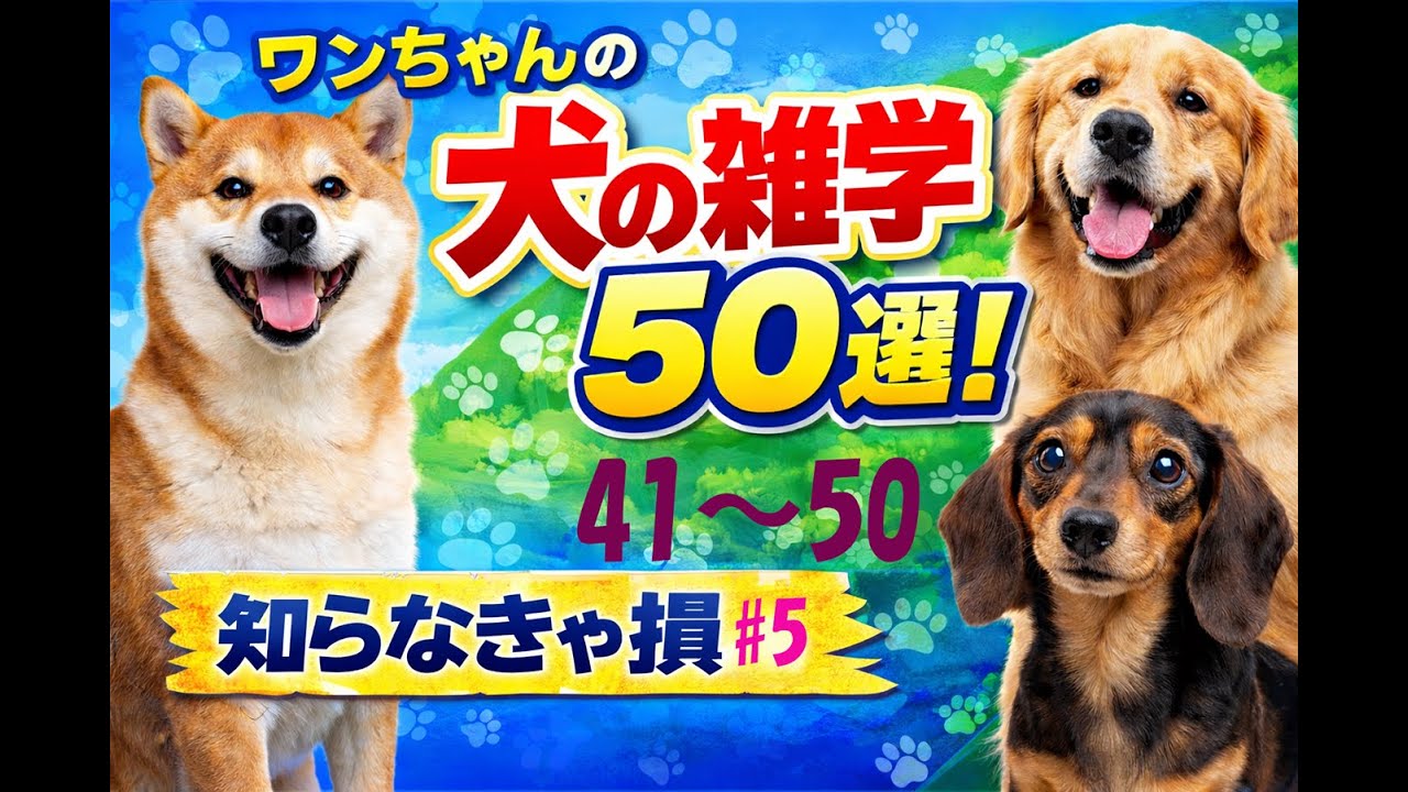 わんわん　犬の雑学　AIに聞いてみた！？　5