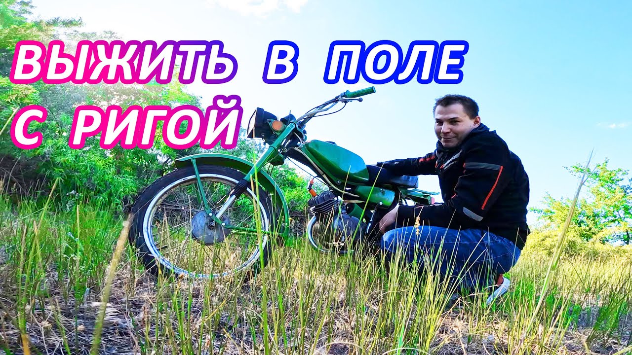 Пикник в поле с Ригой