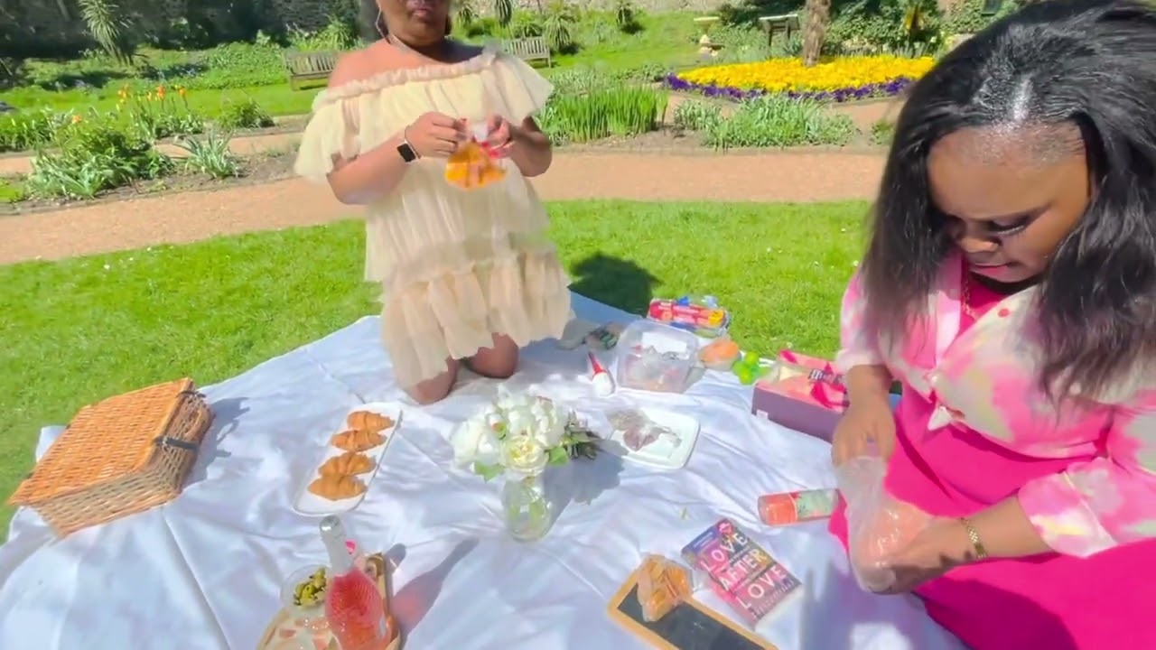My sister birthday  picnic vlog