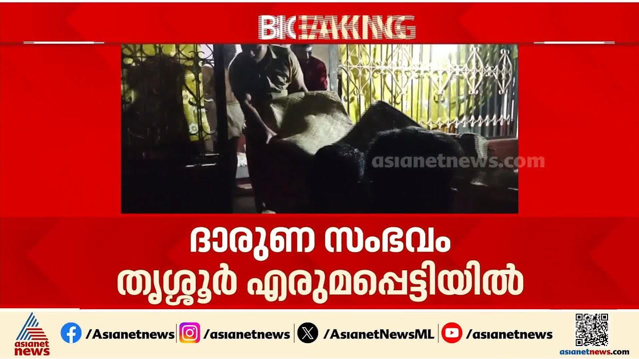 ജീവനെടുത്ത് തെരുവുനായ; തൃശ്ശൂരിൽ വയോധികയെ തെരുവുനായ കടിച്ചു കൊന്നു | Thrissur | Stray dog attack