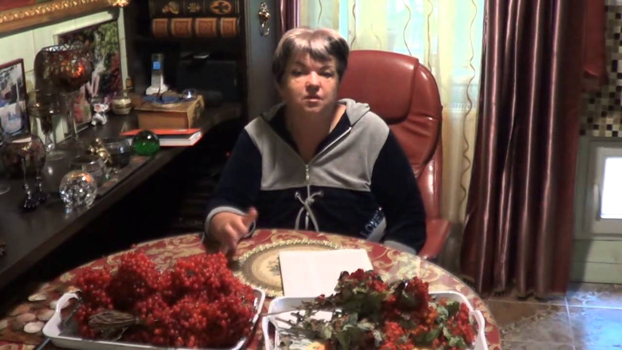 Калина. Выбор Сорта. БЫВАЕТ ЛИ КАЛИНА СЛАДКОЙ?. Уроки Садоводства. рубрика
