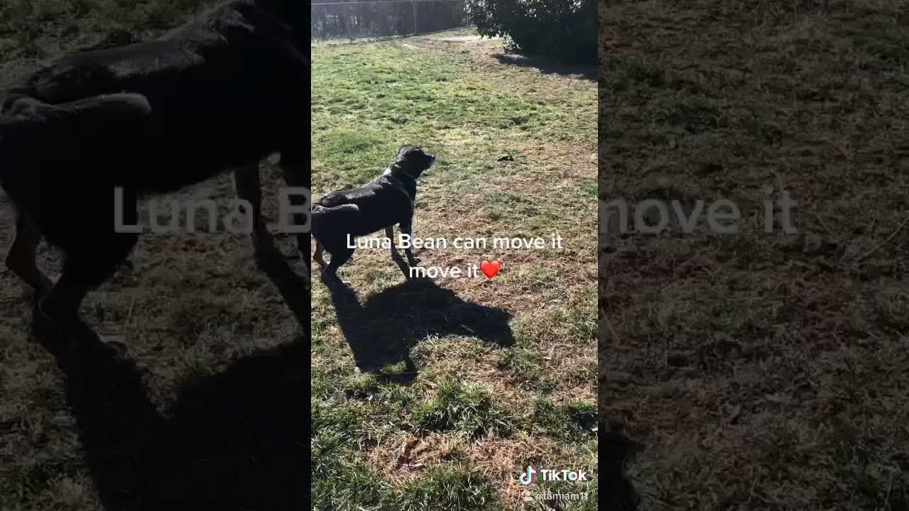 Luna Recovery