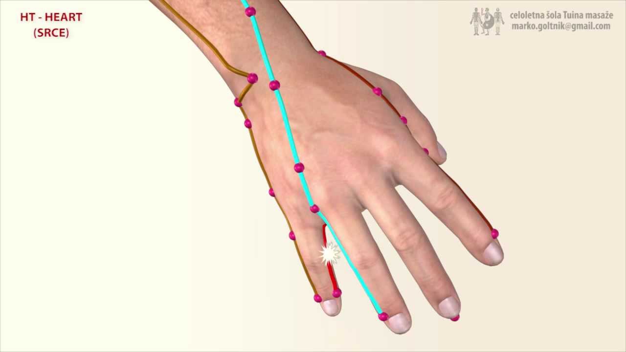 HT - HEART MERIDIAN (Meridijan Srca)