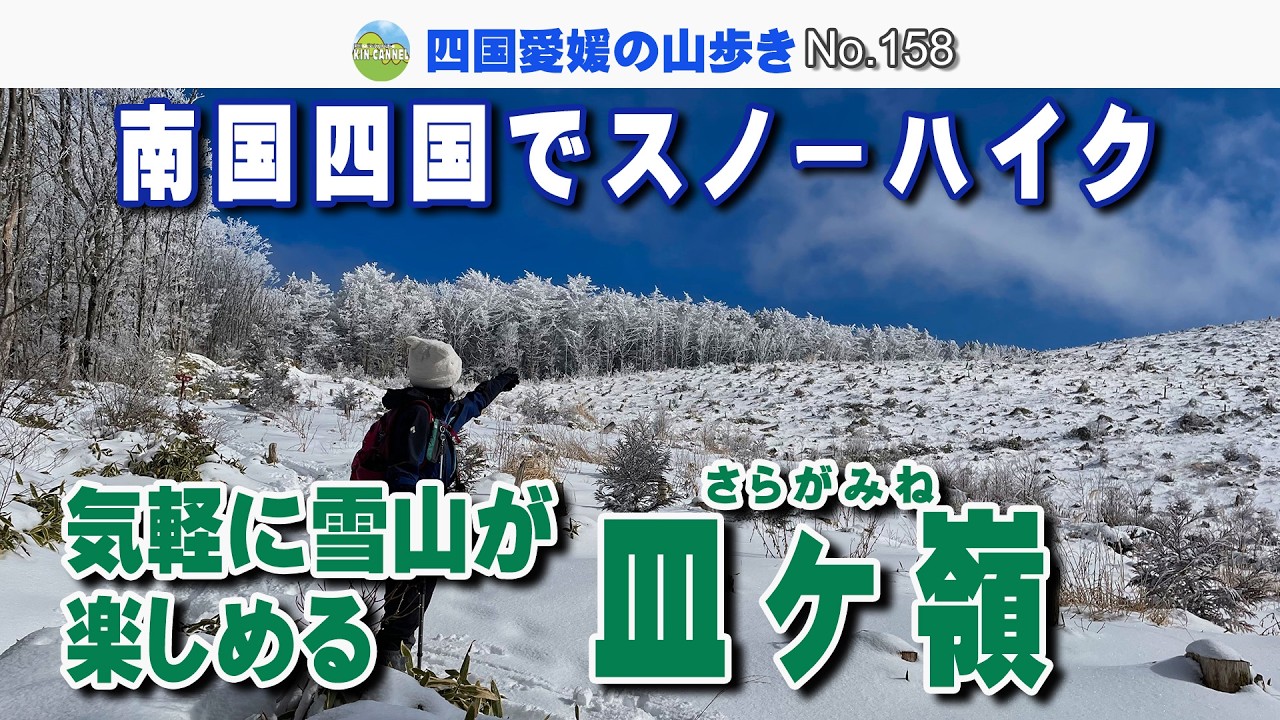 南国四国でスノーハイク 気軽に雪山が楽しめる 皿ヶ嶺 2026.2.9