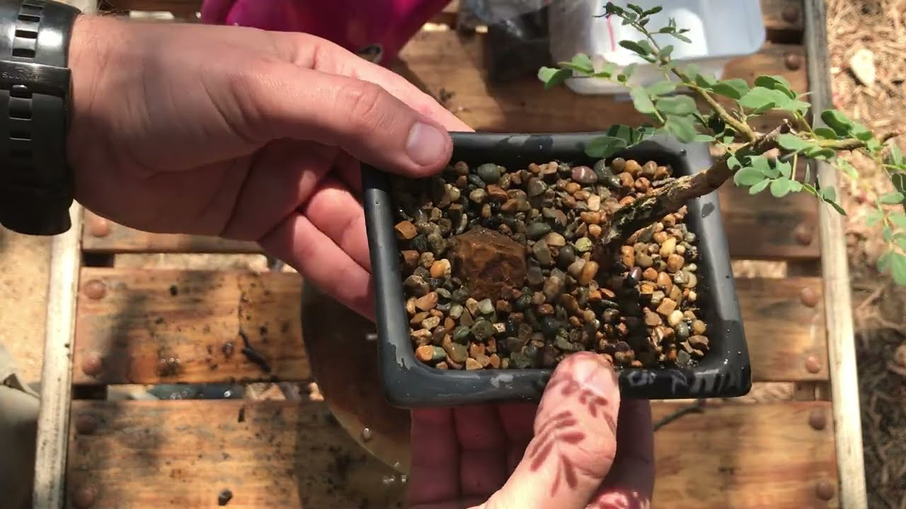 5. Colour with Gravel