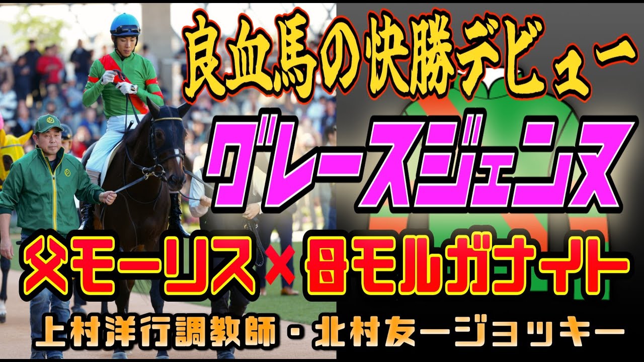 【競馬・馬主】良血グレースジェンヌ快勝デビュー‼️父モーリス❌母モルガナイト（上村洋行調教師・北村友一ジョッキー）
