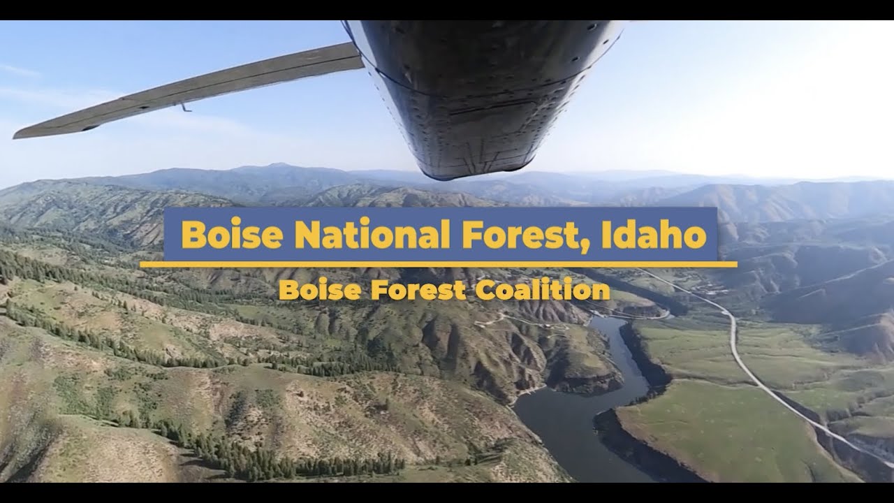 Forest Restoration on the Boise National Forest